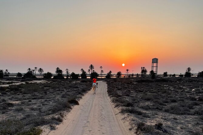 Horseback riding at sunrise 3h - Who should book this ride?