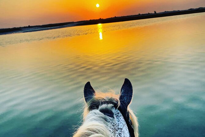 Horseback riding at sunrise 3h - Why the sunrise timing matters in Djerba