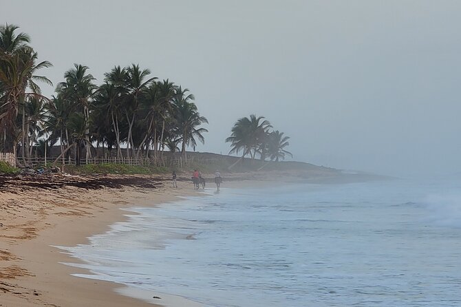 Horseback Riding at Sunrise on the Beach of Punta Cana - Is the $83.19 price good value?