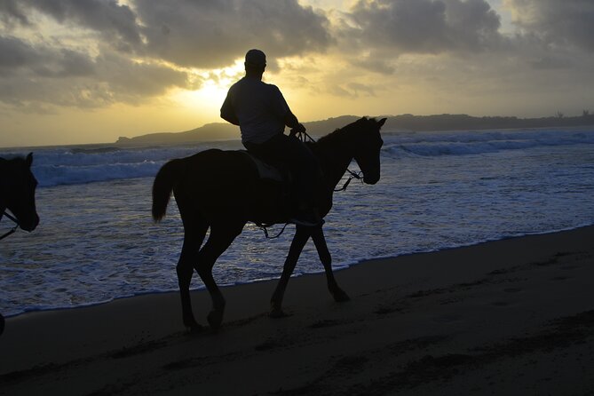Horseback Riding at Sunrise on the Beach of Punta Cana - Pickup, timing, and the early morning tradeoff