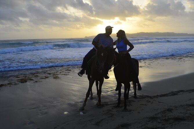 Horseback Riding at Sunrise on the Beach of Punta Cana - Who will enjoy this Punta Cana horseback ride?
