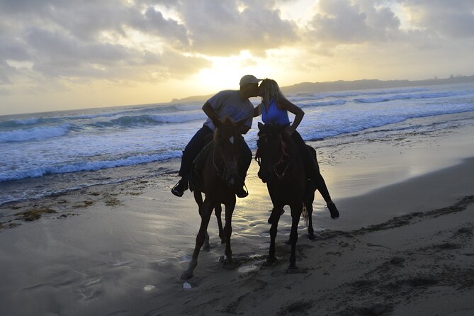 Horseback Riding at Sunrise on the Beach of Punta Cana - The service record is worth considering