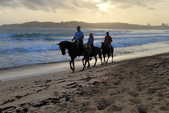 Horseback Riding at Sunrise on the Beach of Punta Cana - Jano and the human side of the ride