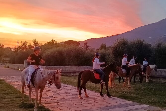 Horseback riding at sunset 1 hour at the Certosa di Pisa - What the first lesson is really like