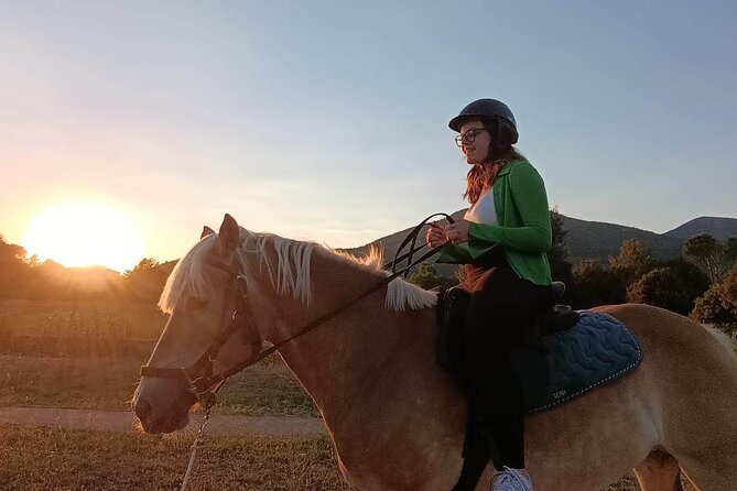 Horseback riding at sunset 1 hour at the Certosa di Pisa - Horses, equipment, and the standard of care