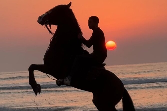 Horseback riding at sunset (2 hours) - Who will enjoy this most