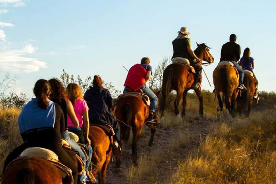 Horseback Riding at Sunset and Dinner in Mendoza - The small-group format and guide support
