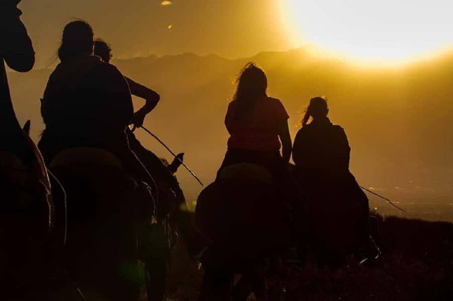 Horseback Riding at Sunset and Dinner in Mendoza - Who will enjoy this Mendoza evening
