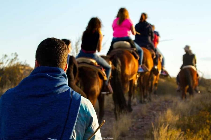 Horseback Riding at Sunset and Dinner in Mendoza - Practical details for a smoother evening