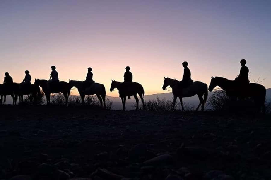 Horseback Riding at Sunset and Dinner in Mendoza - A two-hour ride timed for sunset