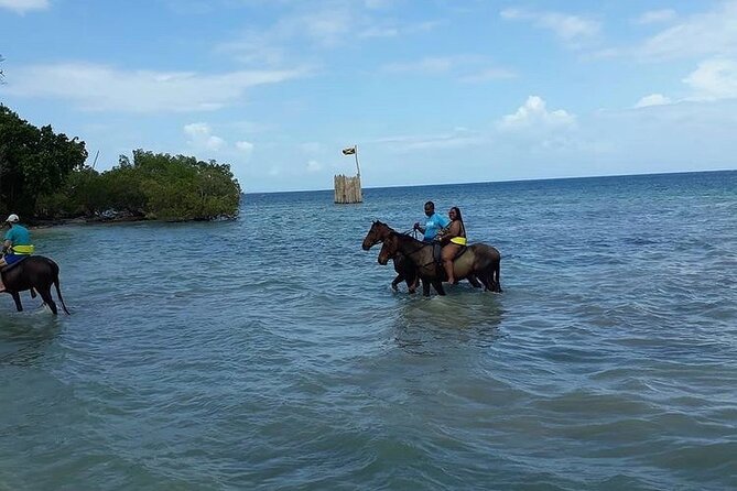 Horseback Riding, ATV and Ocean Zip lining combo from Montego Bay - Riding a horse into the Caribbean Sea