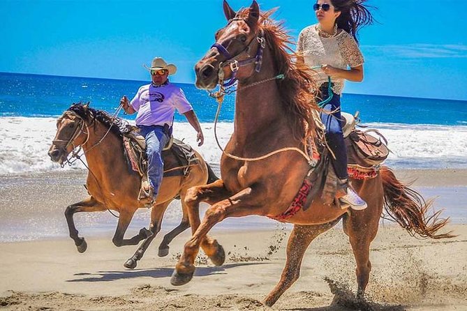 Horseback Riding & ATV Combo! Mountain Trails & Beautiful Beaches of BAJA! - Key points to know before booking