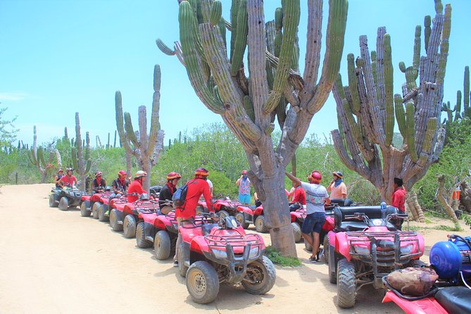Horseback Riding & ATV Combo! Mountain Trails & Beautiful Beaches of BAJA! - What the ATV portion is really like