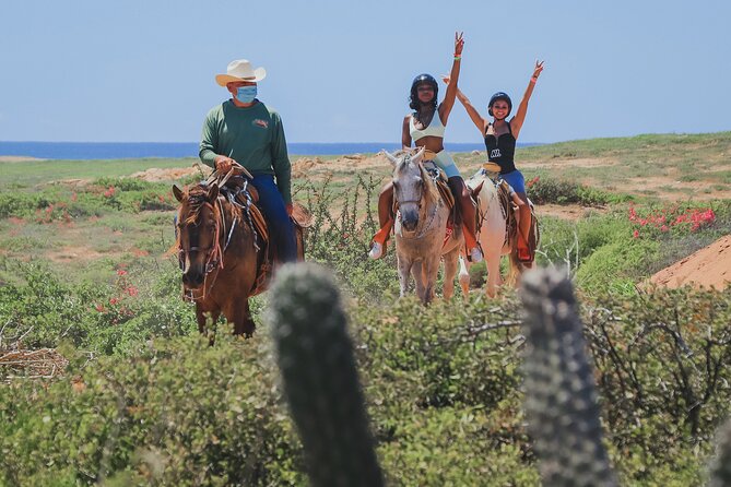 Horseback Riding Beach and Desert in Cabo - Key points to know before you book