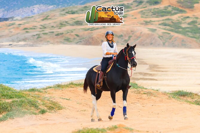 Horseback Riding Beach and Desert in Cabo - Who should book this horseback ride?