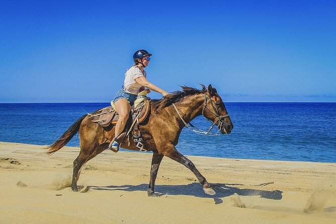 Horseback Riding Beach and Desert in Cabo - Following the desert trail into the mountains