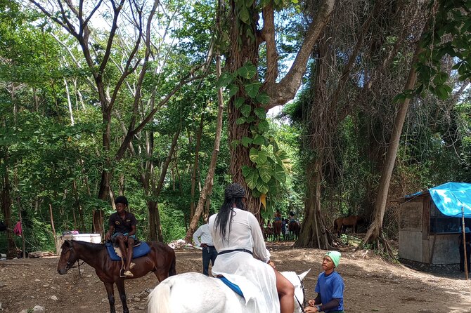 Horseback riding, Blue hole or Dunn's River Combo - Horseback riding through Jamaica to the sea