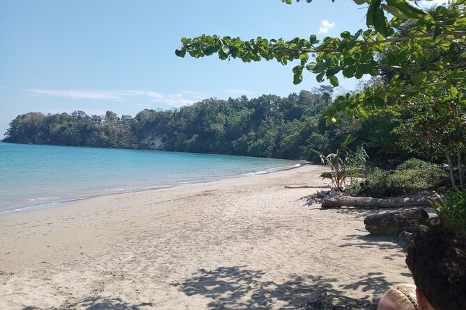 Horseback riding, Blue hole or Dunn's River Combo - Why private transportation changes the day