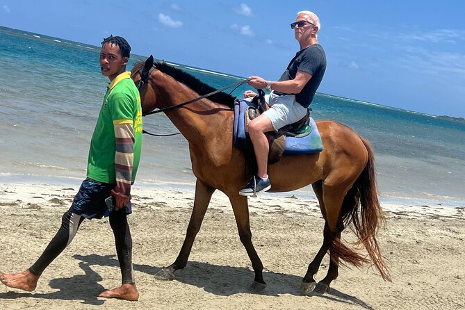 Horseback riding & bluehole secret falls from Montego Bay - Key things to know before you book