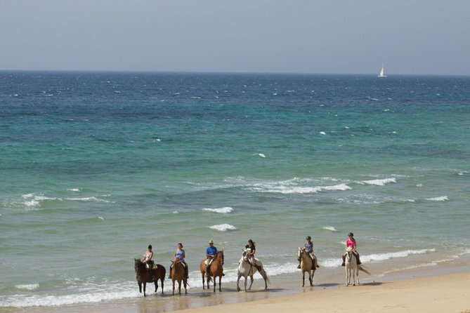 Horseback Riding by the beach or mountain in Tarifa, Spain - 1 to 2 hrs - A two-hour ride with a horse suited to you