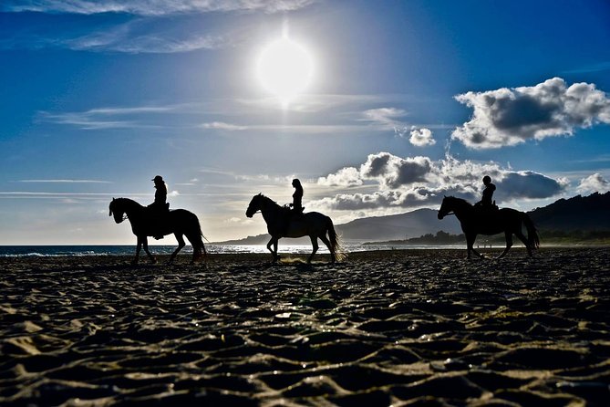 Horseback Riding by the beach or mountain in Tarifa, Spain - 1 to 2 hrs - Is $111.24 a fair price?
