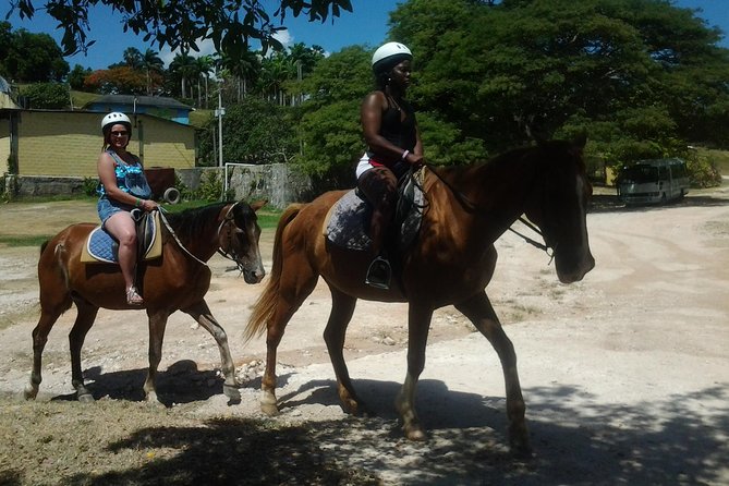 Horseback Riding Dunn's River Falls Adventure from Montego Bay - What the six-hour day is really like