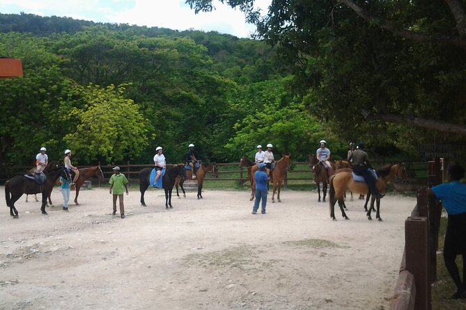 Horseback Riding Dunn's River Falls Adventure from Montego Bay - Reaching the water on horseback