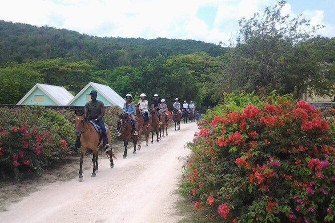 Horseback Riding Dunn's River Falls Adventure from Montego Bay - Who will enjoy this outing most