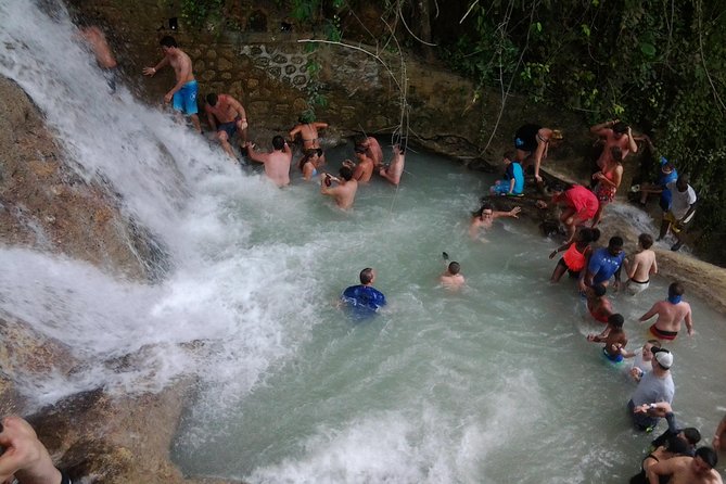 Horseback Riding Dunn's River Falls Adventure from Montego Bay - Choosing a horse for your experience level