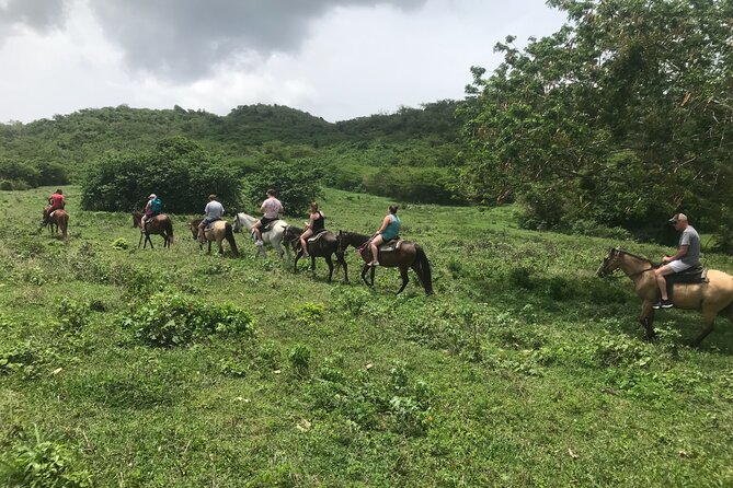 Horseback Riding Experience - A horseback ride with more than a trail loop