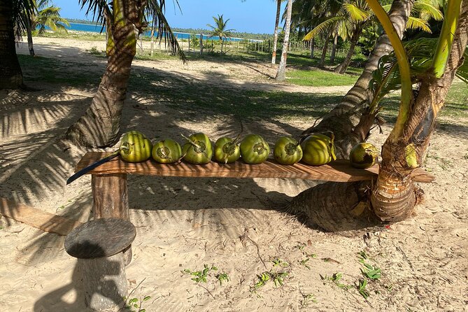 Horseback Riding - Experience between virgin beach and lagoon - Reaching the deserted stretch of Playa Esmeralda
