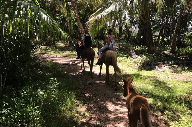 Horseback Riding - Experience between virgin beach and lagoon - Transportation and the meeting point matter