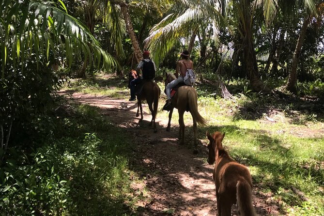 Horseback Riding - Experience between virgin beach and lagoon - Who will enjoy this horseback excursion