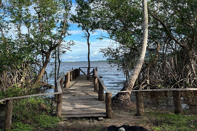 Horseback Riding - Experience between virgin beach and lagoon - Through the coconut trees to Redonda Lagoon