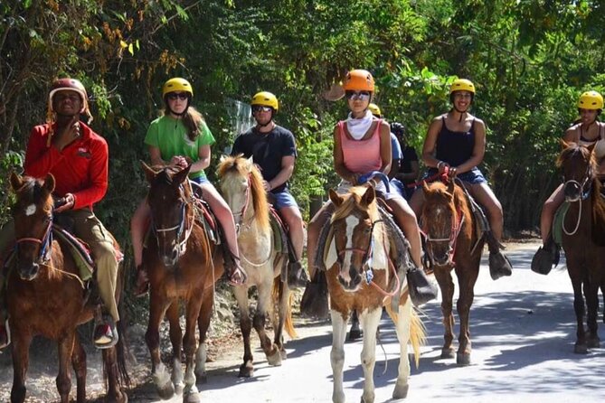 Horseback Riding Experience in Punta Cana - Riding from Punta Cana’s fields to Uvero Alto beach
