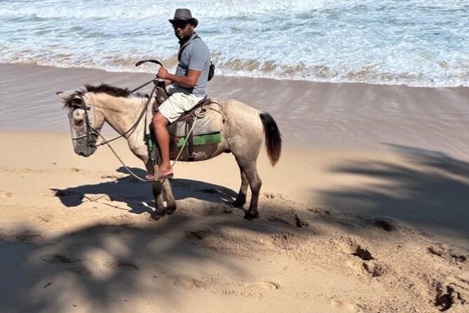 Horseback Riding Experience in Punta Cana - What the route feels like for a first-time rider