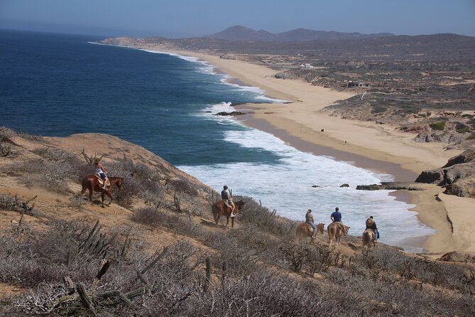 Horseback Riding Experience in Rancho San Cristobal - From desert plants to mountain views