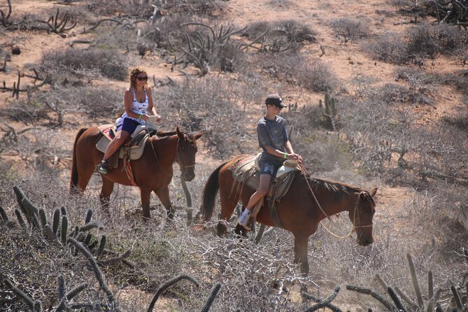 Horseback Riding Experience in Rancho San Cristobal - The beach ride and Pacific views