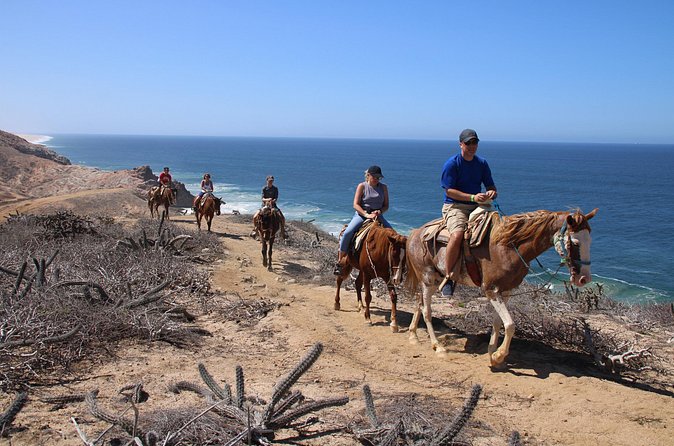 Horseback Riding Experience in Rancho San Cristobal - Quesadillas at Quelele after the ride