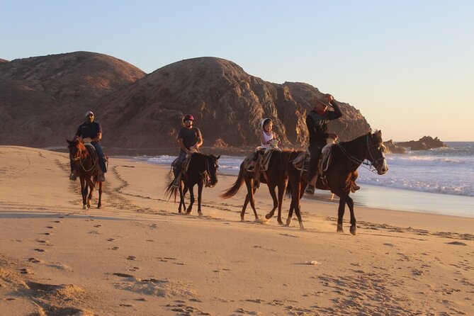 Horseback Riding Experience in Rancho San Cristobal - Getting started with transport and the stable visit