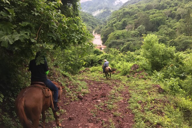 Horseback Riding Experience in Sierra Madre Mountains - From Puerto Vallarta to the Sierra Madre foothills