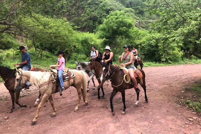 Horseback Riding Experience in Sierra Madre Mountains - How the $119 price holds up