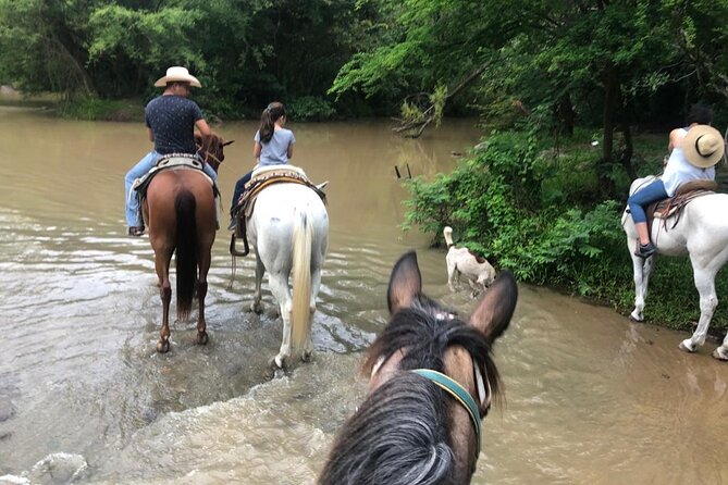 Horseback Riding Experience in Sierra Madre Mountains - Meeting the horses and getting comfortable in the saddle