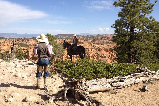Horseback Riding Experience through Red Canyon with a Guide - Key points to know before you ride