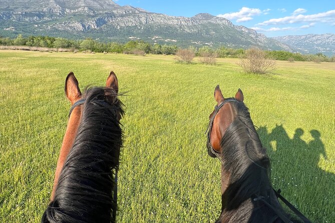 Horseback Riding Experience with transport from Dubrovnik - Food, local drinks, and the family welcome