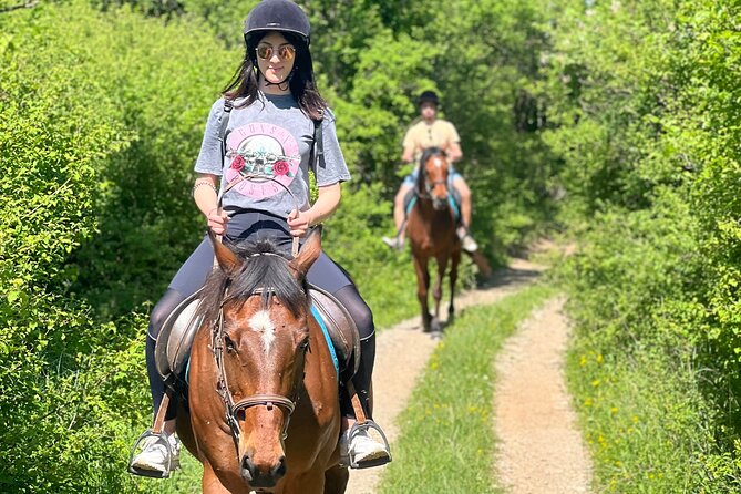 Horseback Riding Experience with transport from Dubrovnik - What the $118.94 price really covers