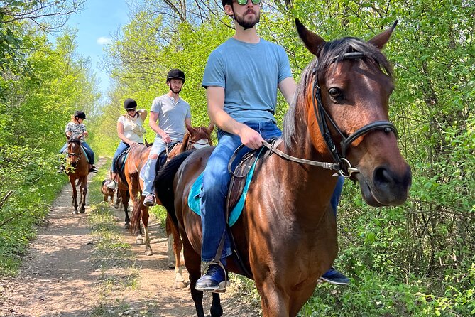 Horseback Riding Experience with transport from Dubrovnik - Who should choose this Konavle ride?