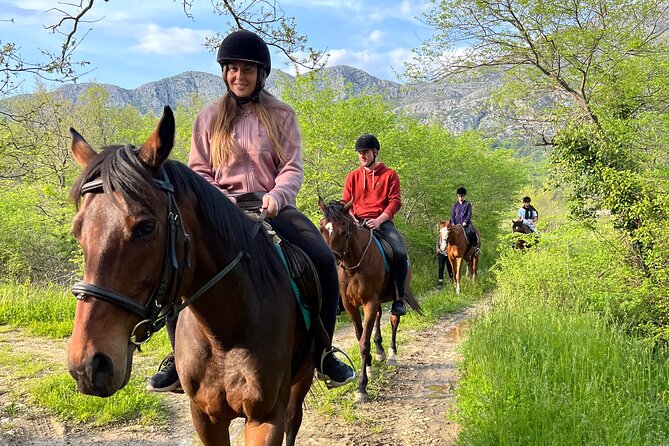 Horseback Riding Experience with transport from Dubrovnik - A gentle 60-minute trail through Konavle
