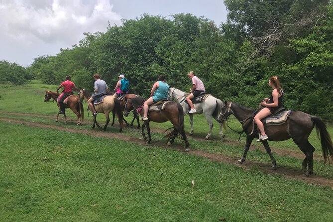 Horseback Riding Experience - Through rainforest and pastureland