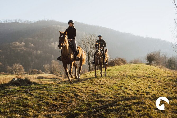 Horseback riding for experts between the lake and the mountains - Key points to know before booking